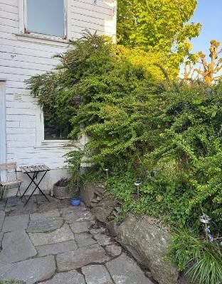 Lovely, bright studio in great central location