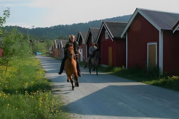 Systra Hotel Apartments Sjøholt