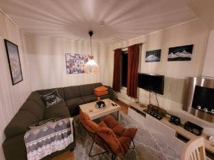 Appartment in Mlselv Fjellandsby