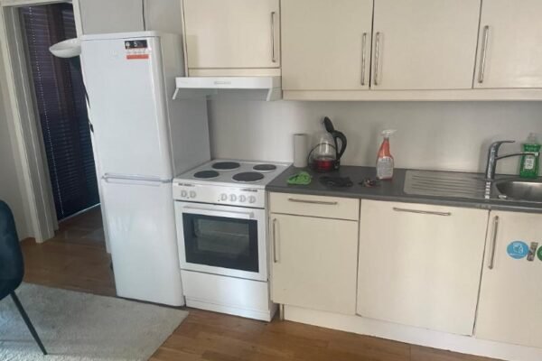 Grand center apartment
