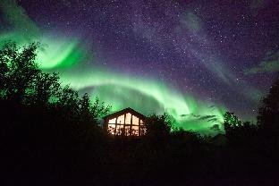 The Distillery Cabin Årøya View – Northern Lights